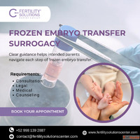Frozen Embryo Transfer Surrogacy