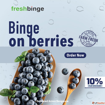 Get Fresh Blueberries Best Price