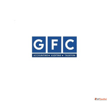 Golden Falcon Consultants - Expert Accounting Auditing Firm ...