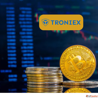 Affordable Decentralized Exchange Development Services