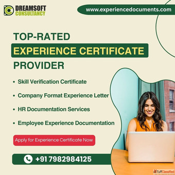 Employment Verification Certificate Lucknow