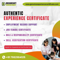Professional Employment Certificate Services in Gurgaon