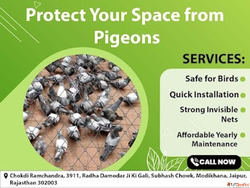 Premium Invisible Grill Net in Jaipur for Safe Homes