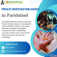 Hire the Best Private Investigation Agency for Quick Reliabl...