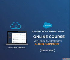 Salesforce Training Online With Real Projects Placement Guid...