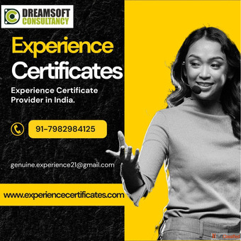 Experience Certificate Support for Job Applicants