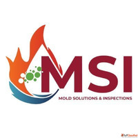 Mold Solutions Inspections
