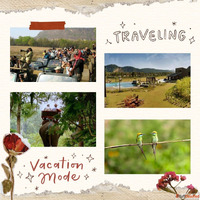 Discover the Wilderness with Bijrani Zone Corbett National P...