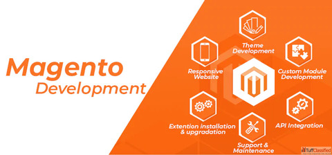 Searching for Experts to Build a Powerful Magento Store