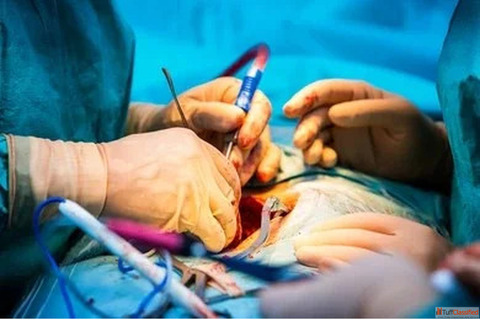 Best Orthopedic Surgeon in Ahmedabad - Consult Dr. Shrenuj Gandhi at Elite Hospital