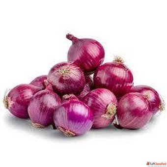 Fresh Onion suppliers in Rajkot