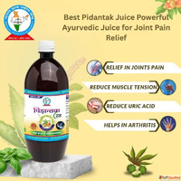 Best Pidantak Juice Powerful Ayurvedic Juice for Joint Pain ...