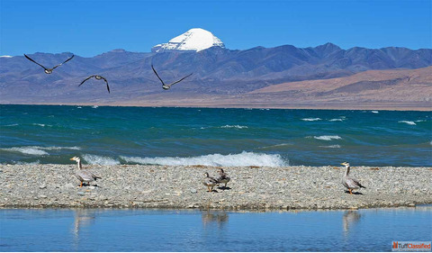 Spiritual Cultural Importance of Mount Kailash and Lake Manasarovar