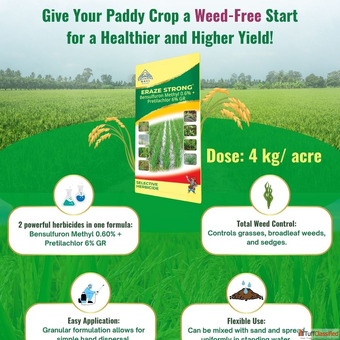 Best Herbicides for Agriculture High-Performance Weed Control