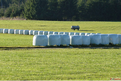 Silage Plastic