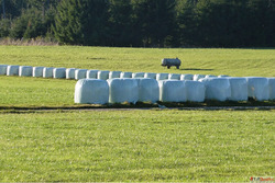 Silage Plastic