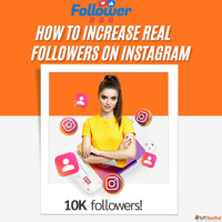 Best panel for instagram followers authentic growth