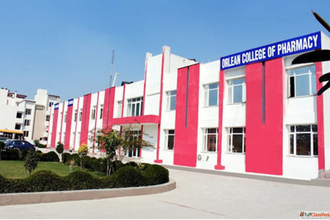 Build Skills at a Professional Pharmacy College