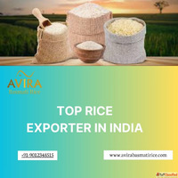 Top Rice Exporter in India