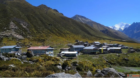 Why Choose Langtang Valley Trek Culture Scenery Adventure