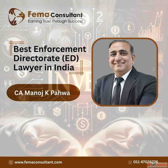 Expert Enforcement Directorate Support You Can Trust - FEMA Consultant