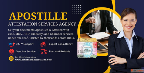 CERTIFICATE APOSTILLE ATTESTATION SERVICES IN INDIA - HOW TO VERIFY YOUR DOCUMENT ONLINE