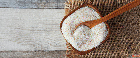 Top Psyllium Husk Supplier and Manufacturer in India