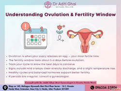 Understanding Your Fertility Window - Expert Guidance by the...