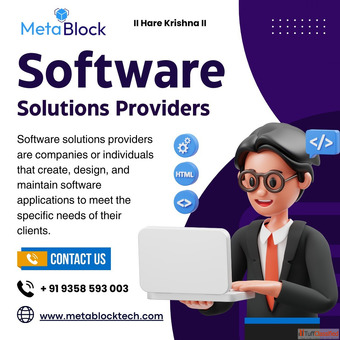 Custom Software Development for Businesses