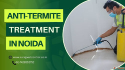 Premium Anti-Termite Treatment in Noida