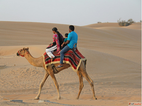 Looking for a fun and unforgettable Desert Safari Dubai experience