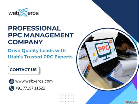 Professional PPC Management