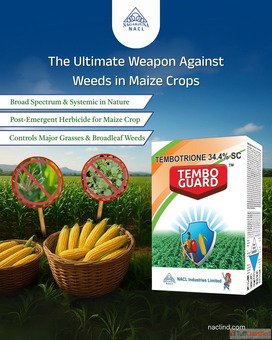 Tembo Guard Best Herbicides for Farming Weed Control