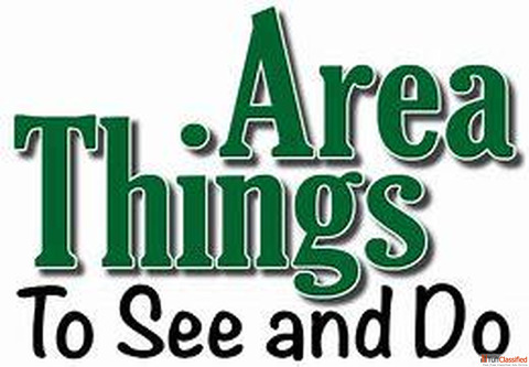 Travel and Tour Services in India