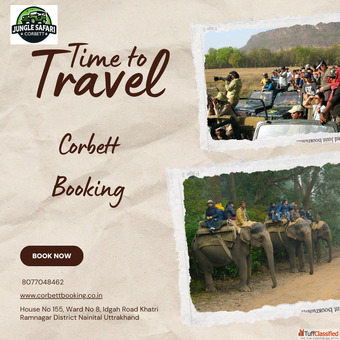 Phato Zone Safari Booking Explore Jim Corbett's Hidden Gem
