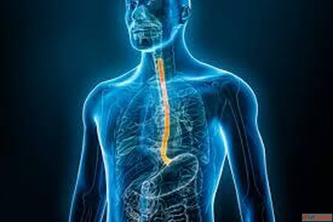 Top Esophageal Cancer Treatment in Ahmedabad Dr. Mihir Shah