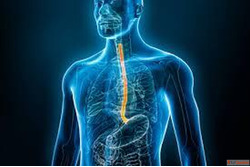 Top Esophageal Cancer Treatment in Ahmedabad Dr. Mihir Shah