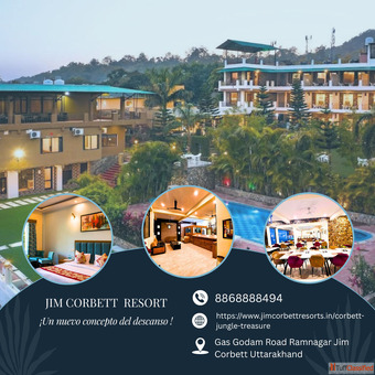 Bungy Jumping in Corbett Hot Air Balloon in Corbett - The Ultimate Adventure Experience