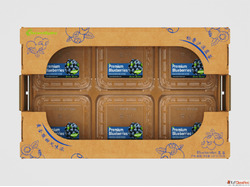 Fresh Fruit Carton Box - Made in China Global Shipping Custo...