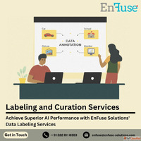 Achieve Superior AI Performance with Data Labeling Services ...