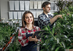 An Ultimate Guide to BSc Hons agriculture admissions 2025