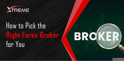 How to Pick the Right Forex Broker for You
