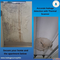 Accurate Leakage Detection Services with Thermal Scan and Pi...