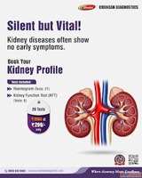 What tests are included in a kidney profile