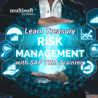 Learn Treasury Risk Management with SAP TRM Training Online