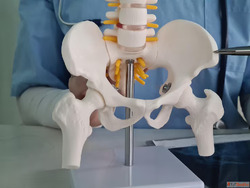 Best Hip Replacement Surgeon in Ahmedabad Expert Treatment a...