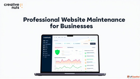 Creative Nuts Professional Website Maintenance for Businesses
