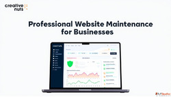 Creative Nuts Professional Website Maintenance for Businesse...