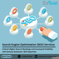 Unlock Higher Search Rankings with Best SEO Expertise from E...