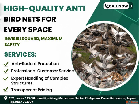 Invisible Grill Nets - A Perfect Blend of Design Safety Jaipur